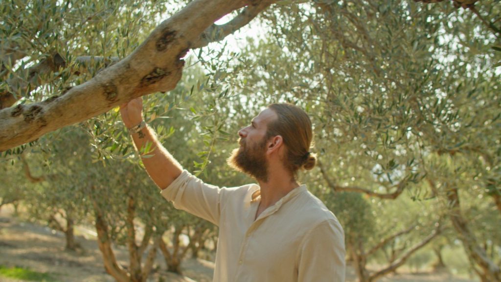producteur olive crete